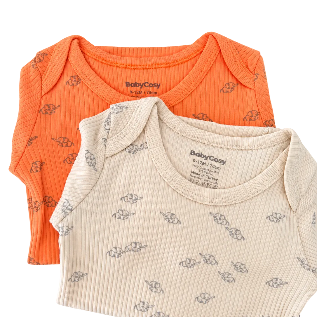 Lot de 2 bodies bébé en modal et coton biologique